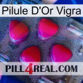 Vigra Gold Pill 13